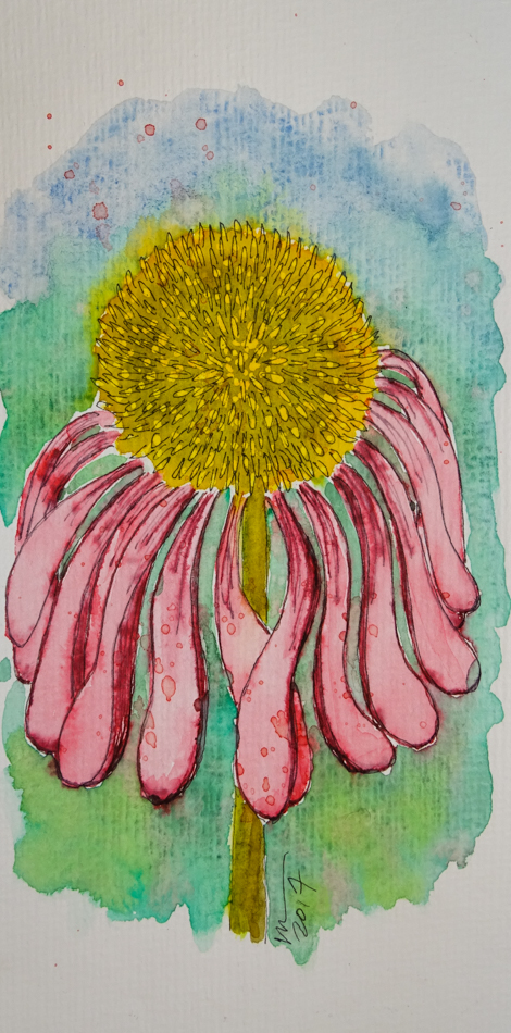 470x950 Post Cards, 5 D.katie Powell Art - Luma Watercolor