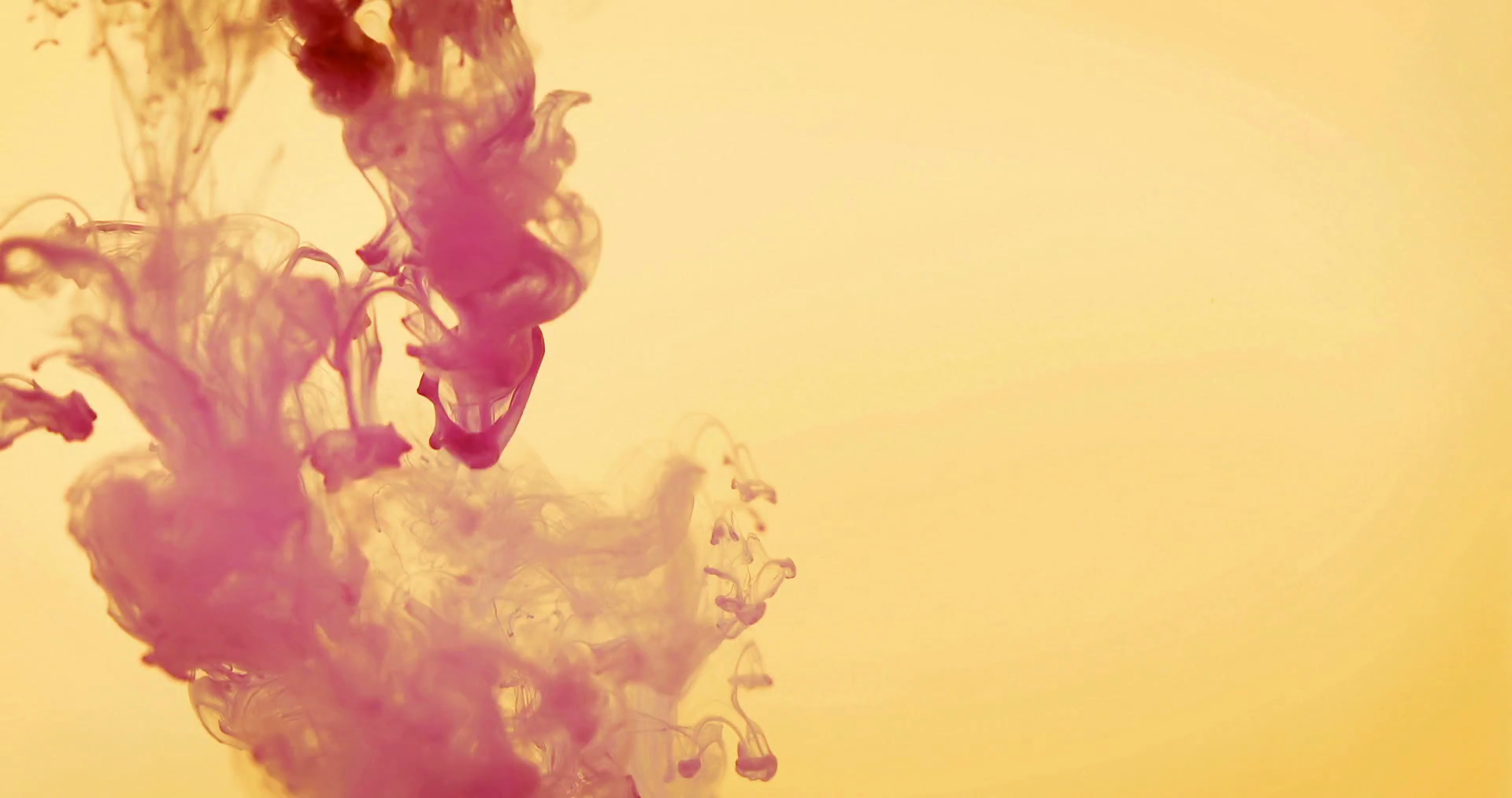 1920x1013 Close Up Pink Colored Drop In The Water , Abstract Motion Movement - Luma Watercolor Ink