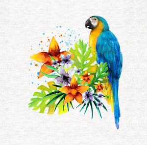 300x297 Macaw, Macaw Parrot Tropical Watercolor - Macaw Watercolor