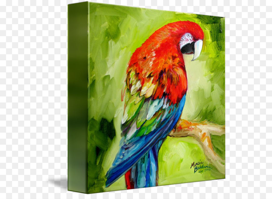 900x660 Macaw Watercolor Painting Parrot Canvas - Macaw Watercolor
