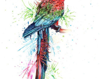 340x270 Macaw Watercolor Etsy - Macaw Watercolor
