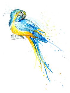 236x312 Parrot Painting - Macaw Watercolor