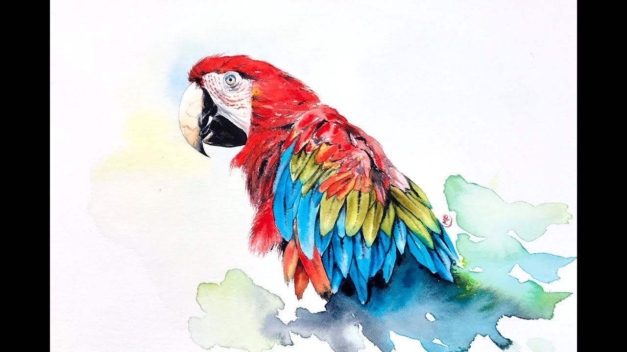 1280x720 Watercolor Macaw Painting Demonstration - Macaw Watercolor