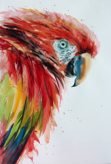 375x555 Great Macaw Bird Art In Watercolor Painting By Pornthep - Macaw Watercolor