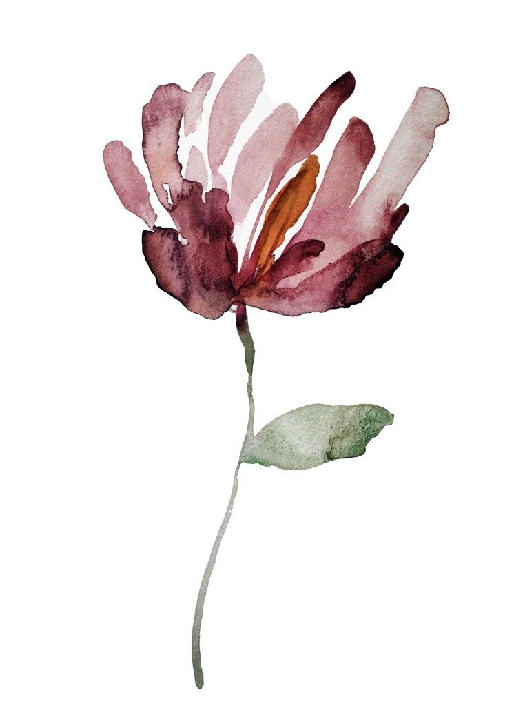 746x1024 Image Result For Simple Magnolia Flower Watercolor Art - Magnolia Flower Watercolor