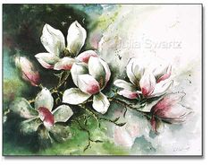 236x185 40 Best Magnolia Watercolour Images Painting - Magnolia Flower Watercolor