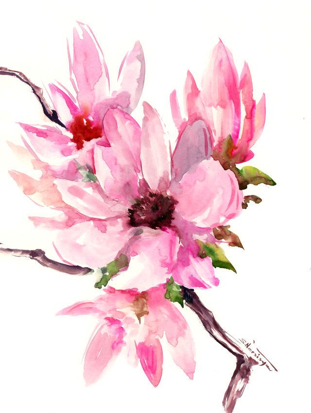 640x850 Magnolia Abstract Pink White, Floral Painting, Original Watercolor - Magnolia Flower Watercolor