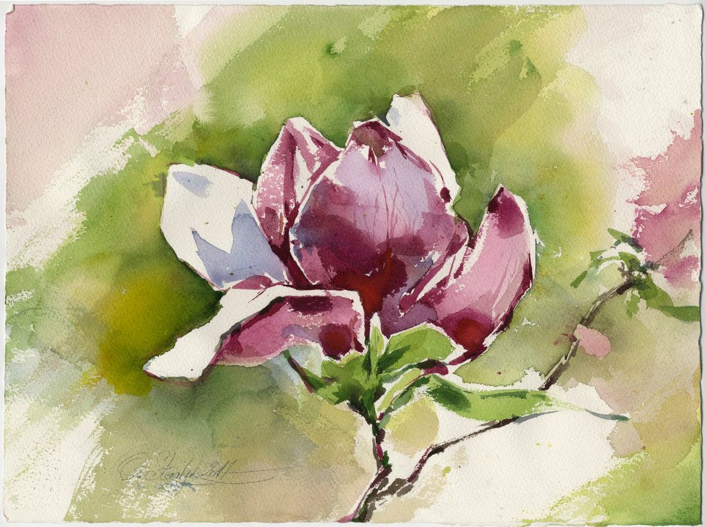 1024x765 Magnolia Flower. Plain Air By Olgasternik - Magnolia Flower Watercolor