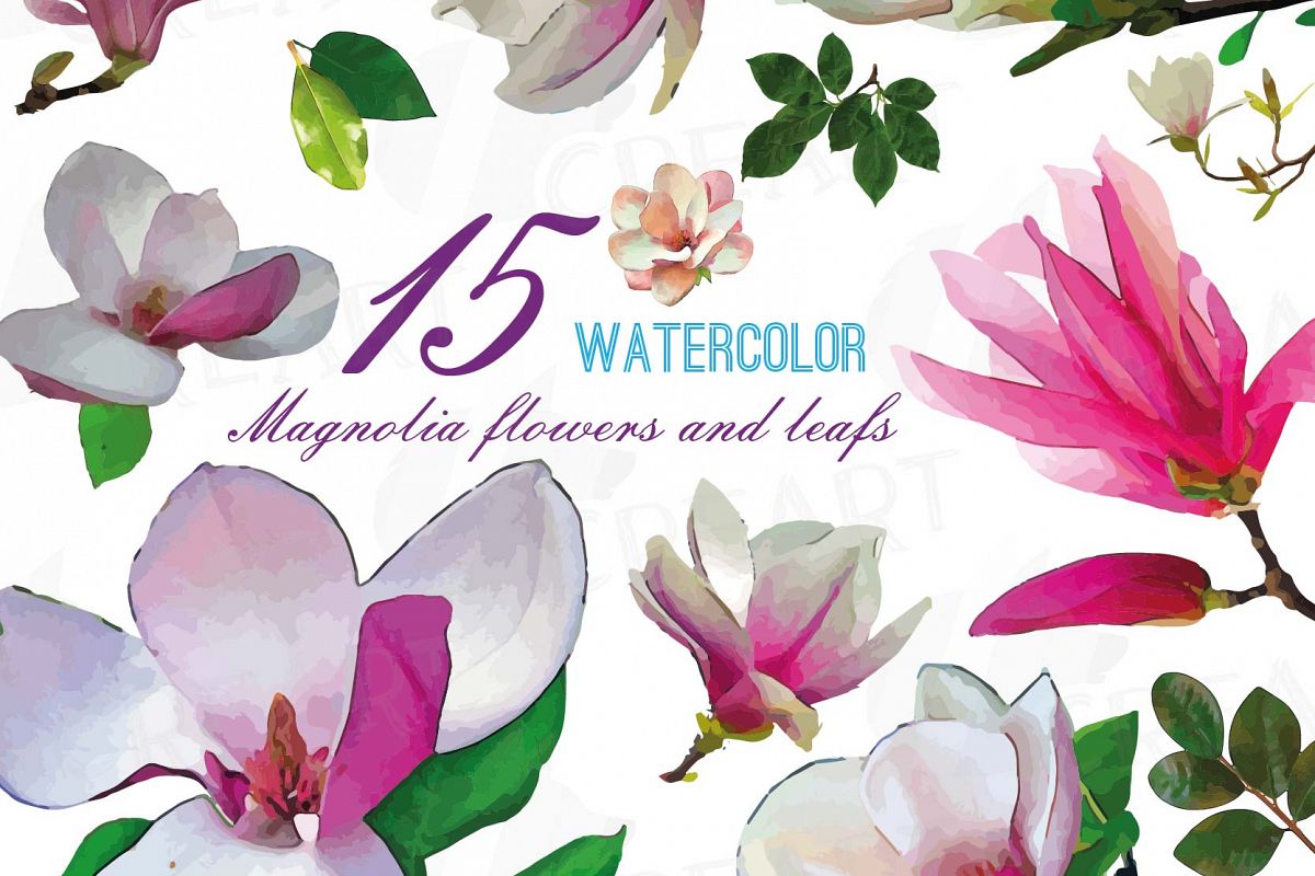 1200x800 Watercolor Pink Magnolia Flower And Leaf Clip Art Pack, Magnolias - Magnolia Flower Watercolor