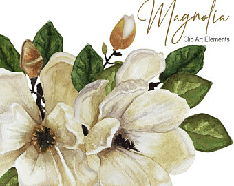 340x270 Watercolor Magnolia Etsy - Magnolia Flower Watercolor