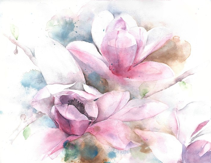 700x542 Magnolia Flower Tree Tulip Magnolia Watercolor Painting - Magnolia Watercolor