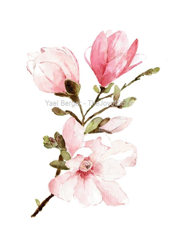 570x807 Magnolia Watercolor Painting Mongolia Flowers Watercolor Etsy - Magnolia Watercolor