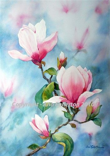 352x500 Magnolias Arty Ideas Magnolia, Watercolor And Flowers - Magnolia Watercolor