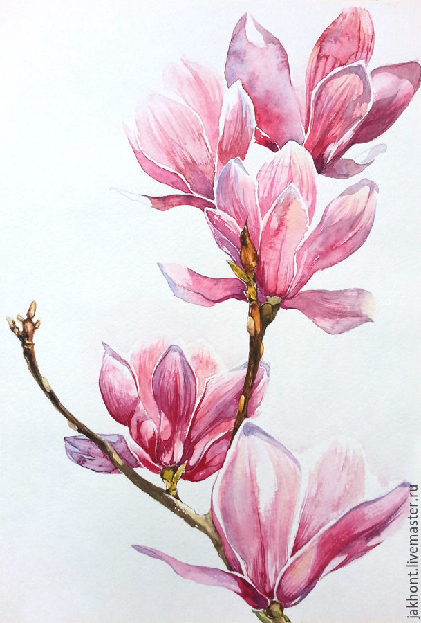 609x900 Pink Storm Watercolor Painting Shop Online On Livemaster With - Magnolia Watercolor