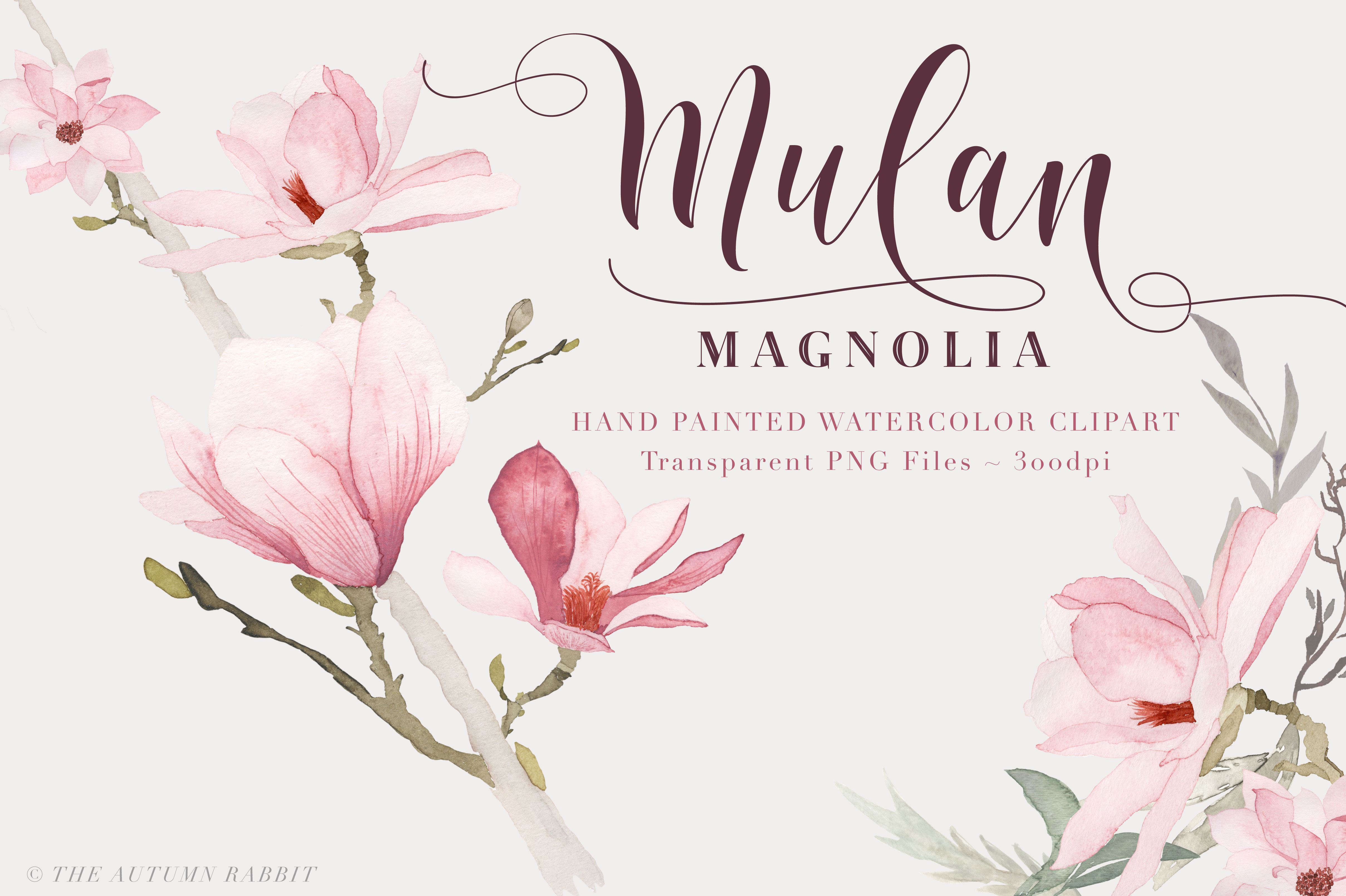 4833x3217 Watercolor Magnolia Floral Clipart Hey Blogger - Magnolia Watercolor