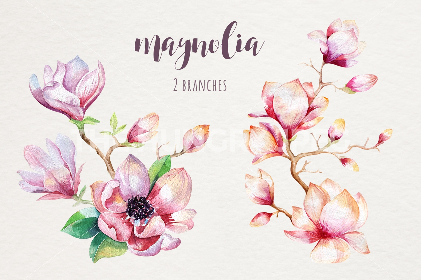 1400x931 Watercolor Magnolia By Peace Shop - Magnolia Watercolor
