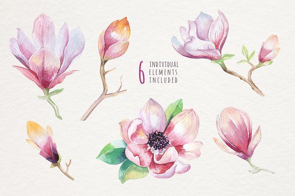 600x400 Watercolor Magnolia By Peace Art On @creativemarket Watercolor - Magnolia Watercolor Tattoo