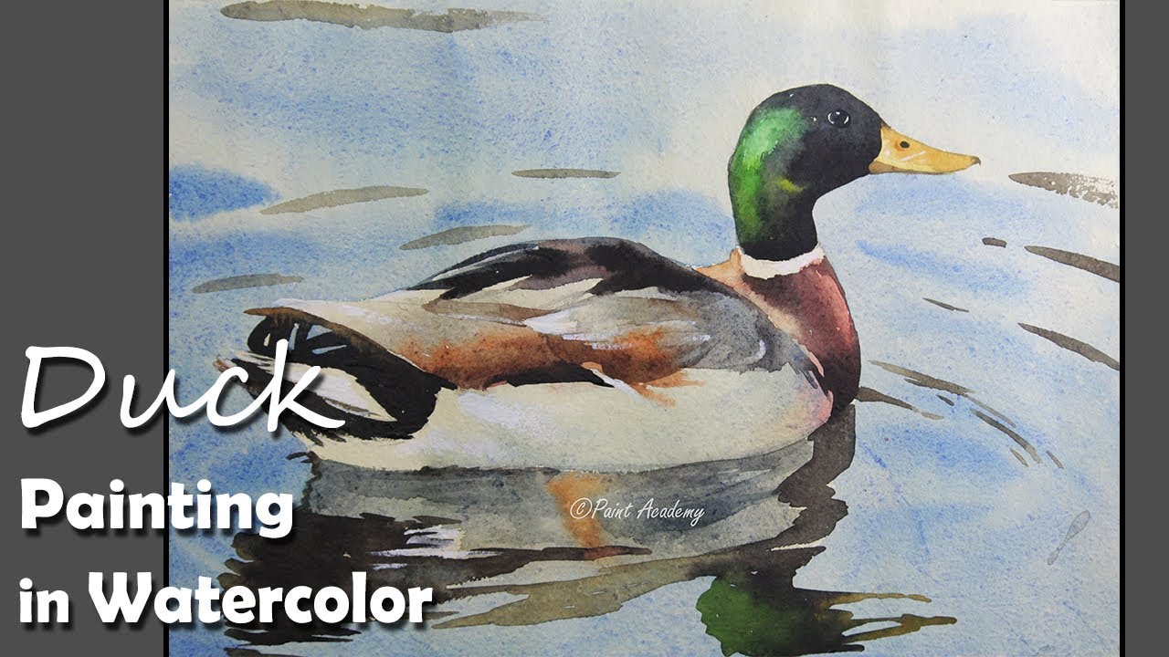 1280x720 How To Paint Duck In Water In Watercolor - Mallard Duck Watercolor