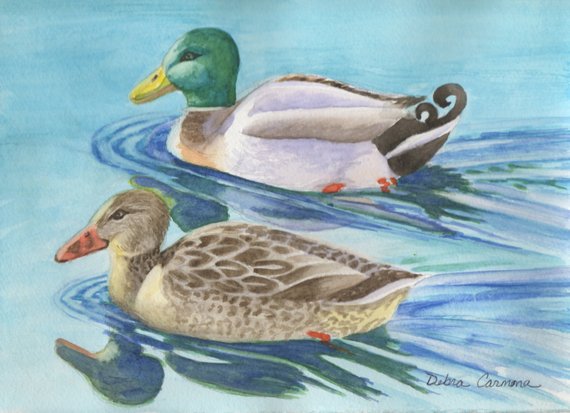 Mallard Duck Watercolor at PaintingValley.com | Explore collection of ...