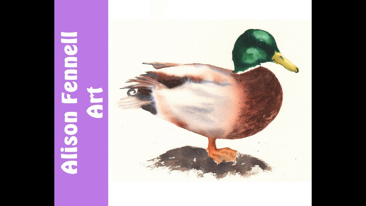 1280x720 Painting A Duck In Watercolor - Mallard Duck Watercolor