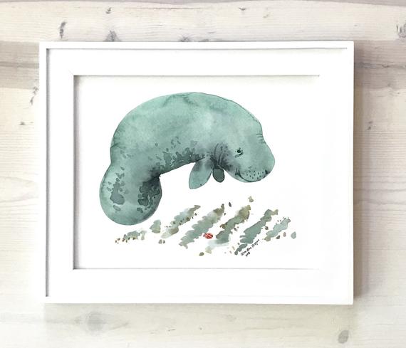 570x489 Manatee Watercolor Painting Fine Art Print Beach Decor Ocean Etsy - Manatee Watercolor