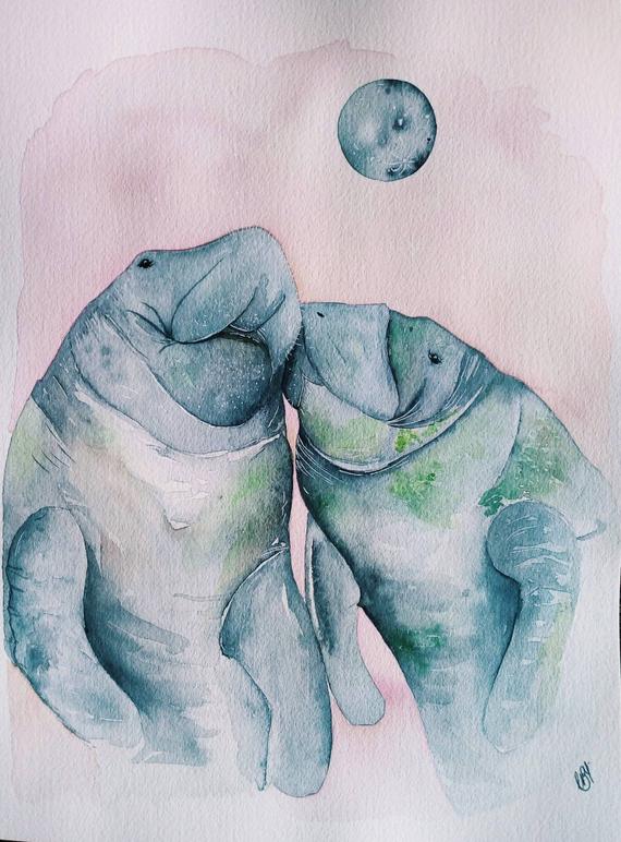 570x772 Manatee Watercolor Etsy - Manatee Watercolor