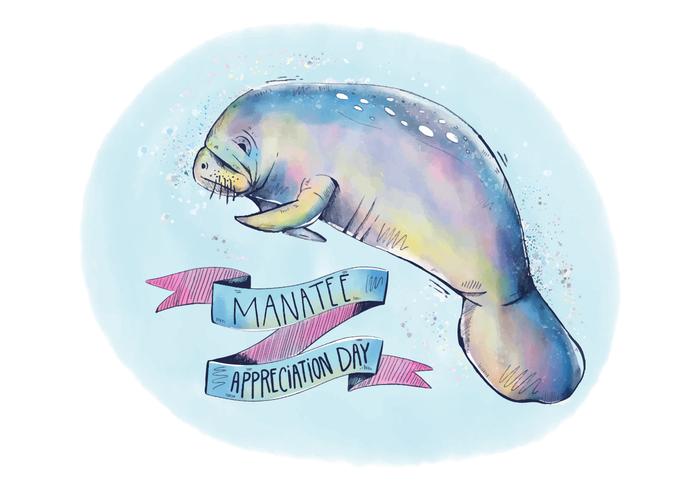 700x490 Colorful Manatee Appreciation Background With Ribbon And Lettering - Manatee Watercolor