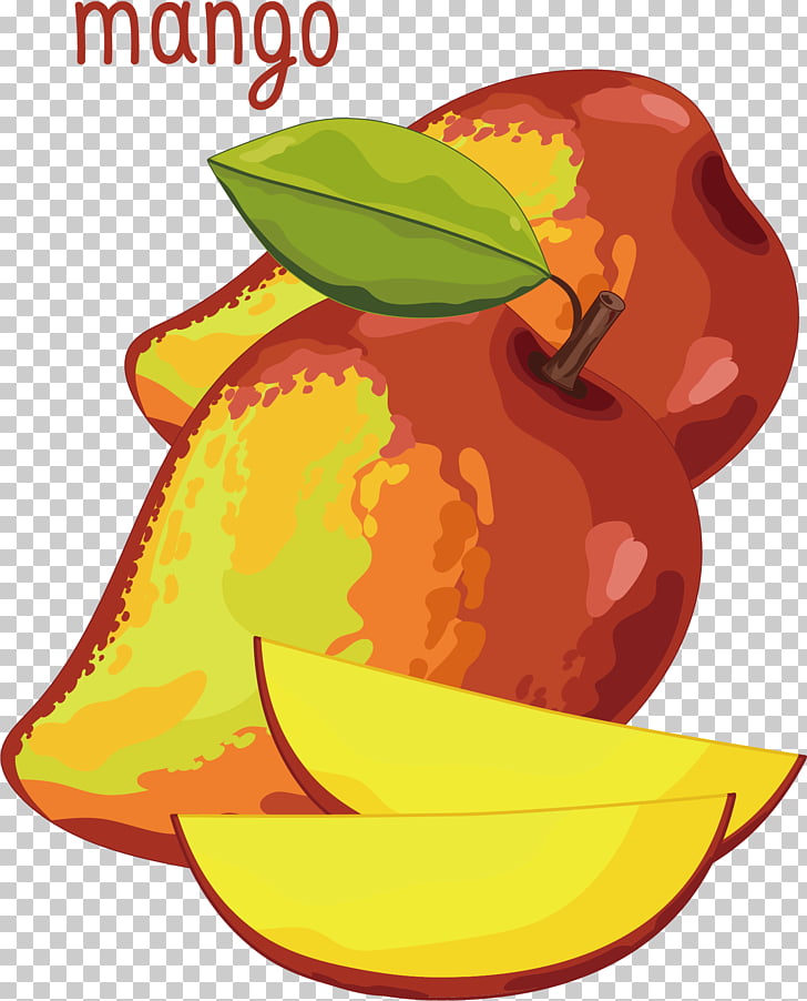 728x902 Fruit, Watercolor Mango Png Clipart Free Cliparts Uihere - Mango Watercolor