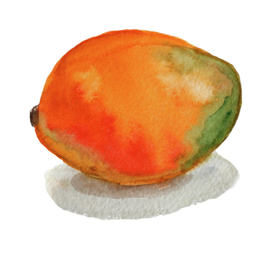 900x900 Mango Watercolor Painting By Olena Belchishche - Mango Watercolor