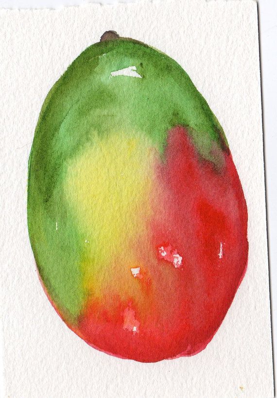 570x819 Mango Watercolor Painting, Mango Painting, Original Watercolor, 4 - Mango Watercolor