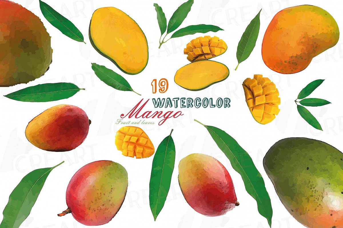 1200x800 Watercolor Mango Clip Art Pack, Mango Leaves And Fruit - Mango Watercolor