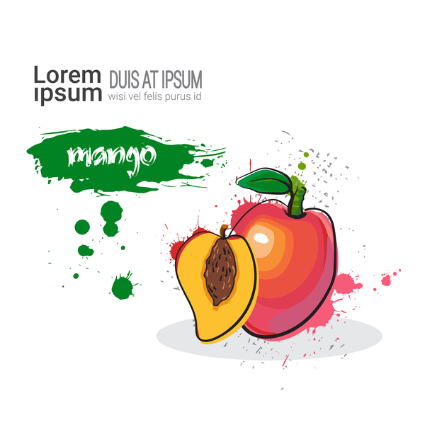 600x600 Mango Watercolor Drawn Vector Free Download - Mango Watercolor