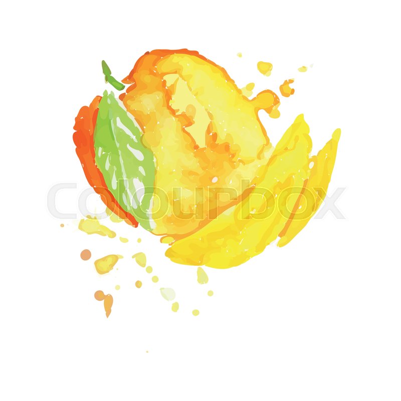 800x800 Colorful Hand Drawn Illustration Of Peach Or Mango. Watercolor - Mango Watercolor