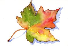 236x161 70 Best Maple Leaves Images In 2018 Drawings - Maple Leaf Watercolor