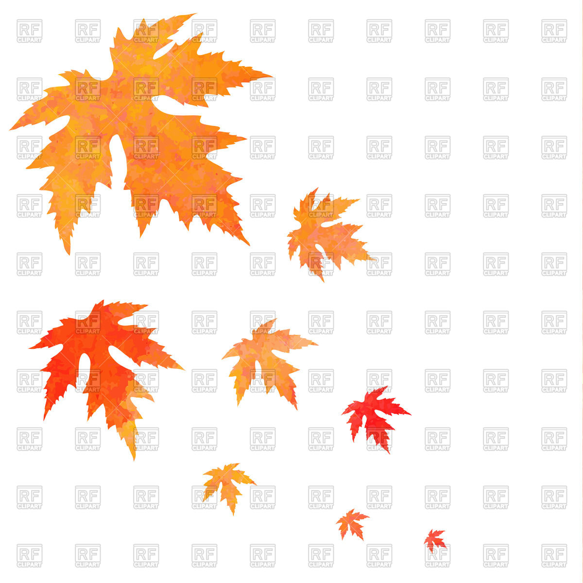 1200x1200 Watercolor Painted Orange Falling Maple Leaves Vector Image - Maple Leaf Watercolor