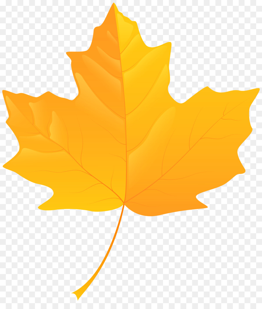 900x1060 Yellow Autumn Leaf Color Clip Art - Maple Leaf Watercolor