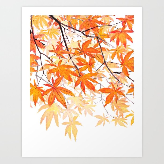 700x700 Orange Maple Leaves Watercolor Art Print By Colorandcolor Society6 - Maple Leaf Watercolor