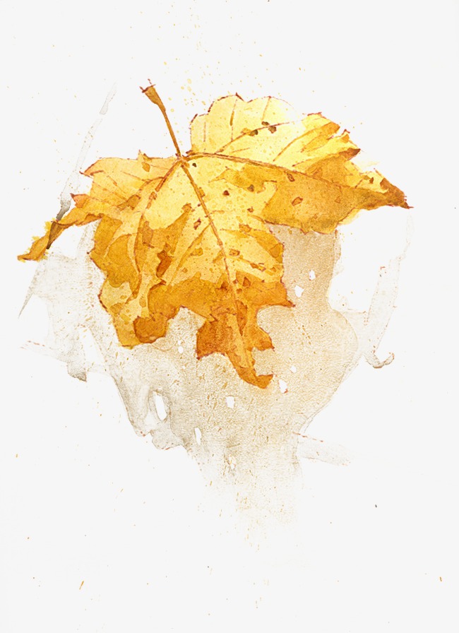 650x896 Leaves, Maple Leaf, Watercolor, Hand Painted Png Image And Clipart - Maple Watercolor