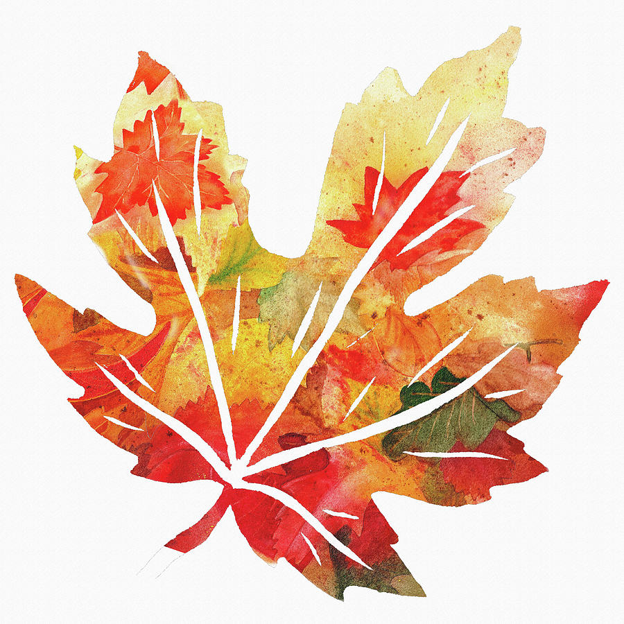 900x900 Maple Leaf Watercolor Silhouette Painting By Irina Sztukowski - Maple Watercolor