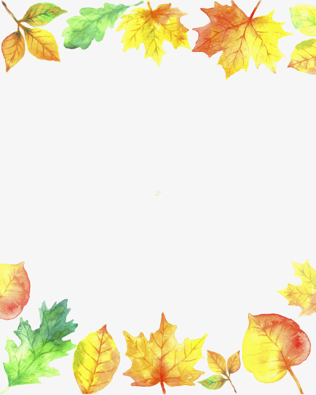 650x814 Watercolor Maple Leaves, Watercolor Clipart, Stationery Png Image - Maple Watercolor