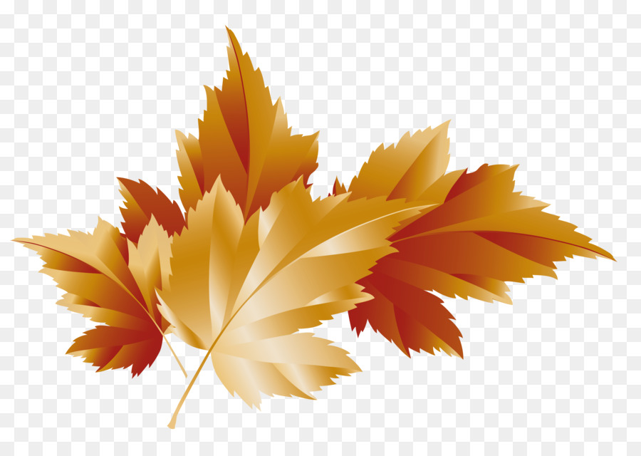 900x640 Autumn Leaf Color Maple Leaf Clip Art - Maple Watercolor