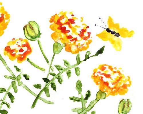 500x400 Orange And Yellow Flower Painting, Marigolds Watercolor Art - Marigold Watercolor