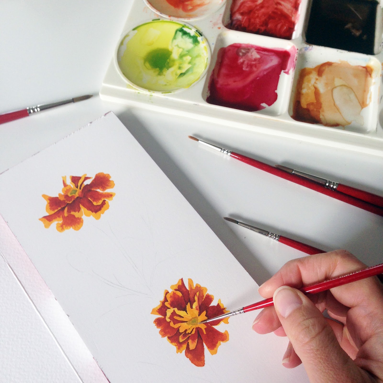 1600x1600 Painting Marigolds And A Confession - Marigold Watercolor