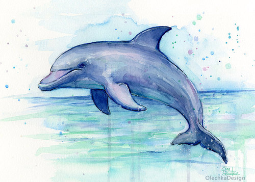 500x357 Dolphin Watercolor Art Print, Dolphin Painting, Dolphin Print, Sea - Marine Life Watercolor