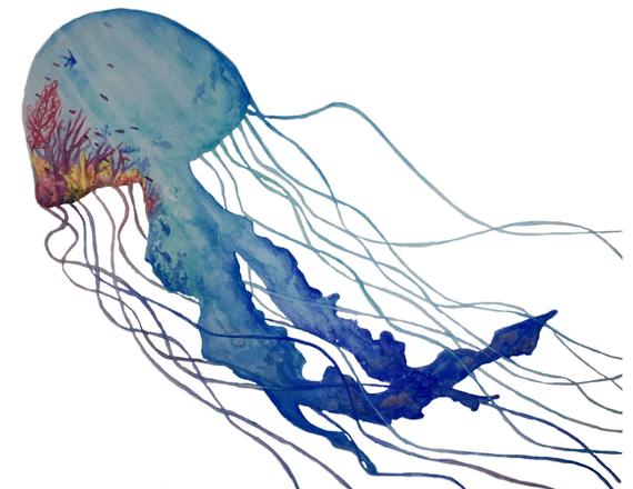 570x440 Jellyfish Reef Watercolor Jellyfish Watercolor Marine Life Etsy - Marine Life Watercolor