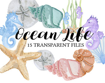 340x270 Sea Life Watercolor Etsy - Marine Life Watercolor