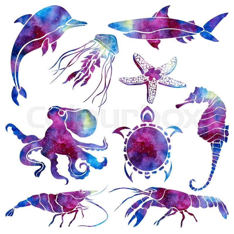 800x800 Silhouettes Of Different Marine Life. Space Background. Hand Drawn - Marine Life Watercolor