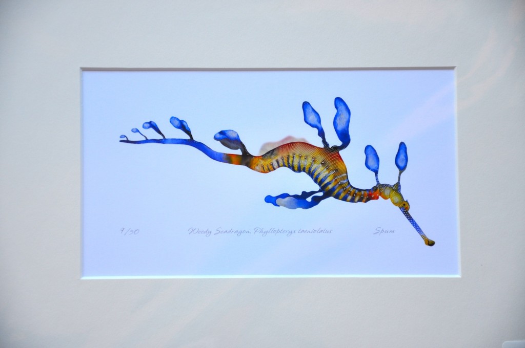 1024x680 Unique Gifts For Marine Life Lovers - Marine Life Watercolor