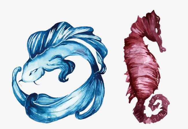 650x447 Vector Watercolor Marine Life, Watercolor Vector, Fish, Watercolor - Marine Life Watercolor