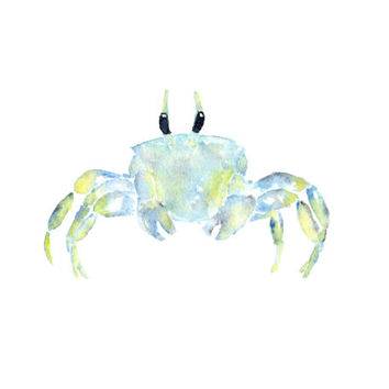 354x354 Best Watercolor Paintings Of Fish Products On Wanelo - Marine Life Watercolor